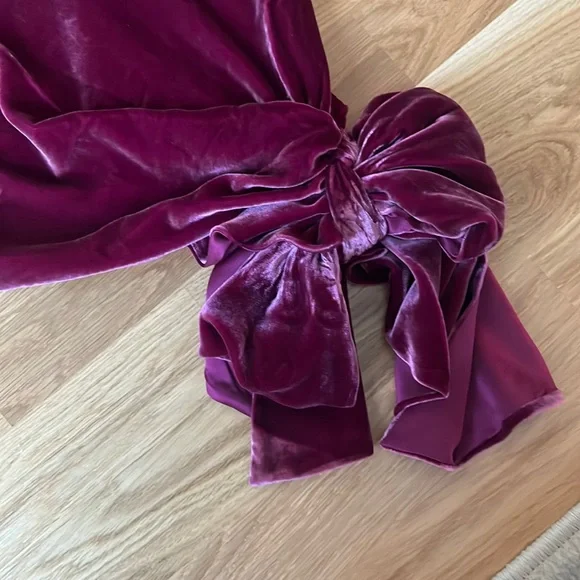 Like new cinq a sept Velvet Ryder Dress Gooseberry in purple